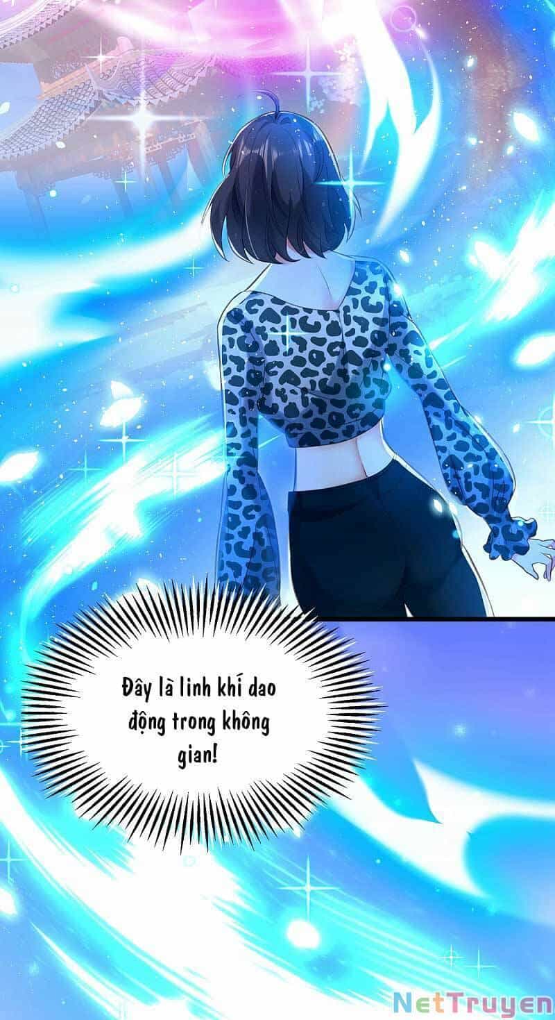 Trùng Sinh Không Gian: Cô Vợ Hào Môn Nóng Bỏng Không Dễ Chọc - Chương 109 - ảnh 16
