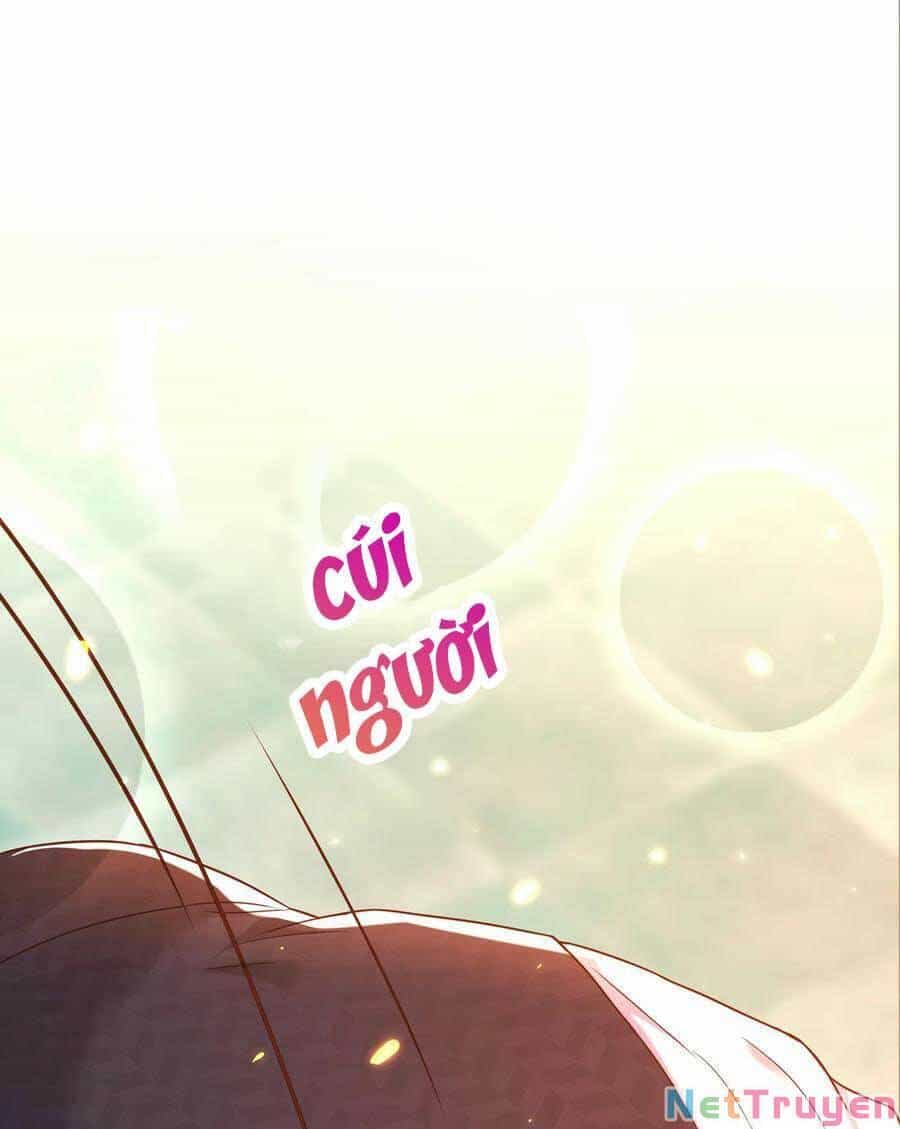 Trùng Sinh Không Gian: Cô Vợ Hào Môn Nóng Bỏng Không Dễ Chọc - Chương 120 - ảnh 17