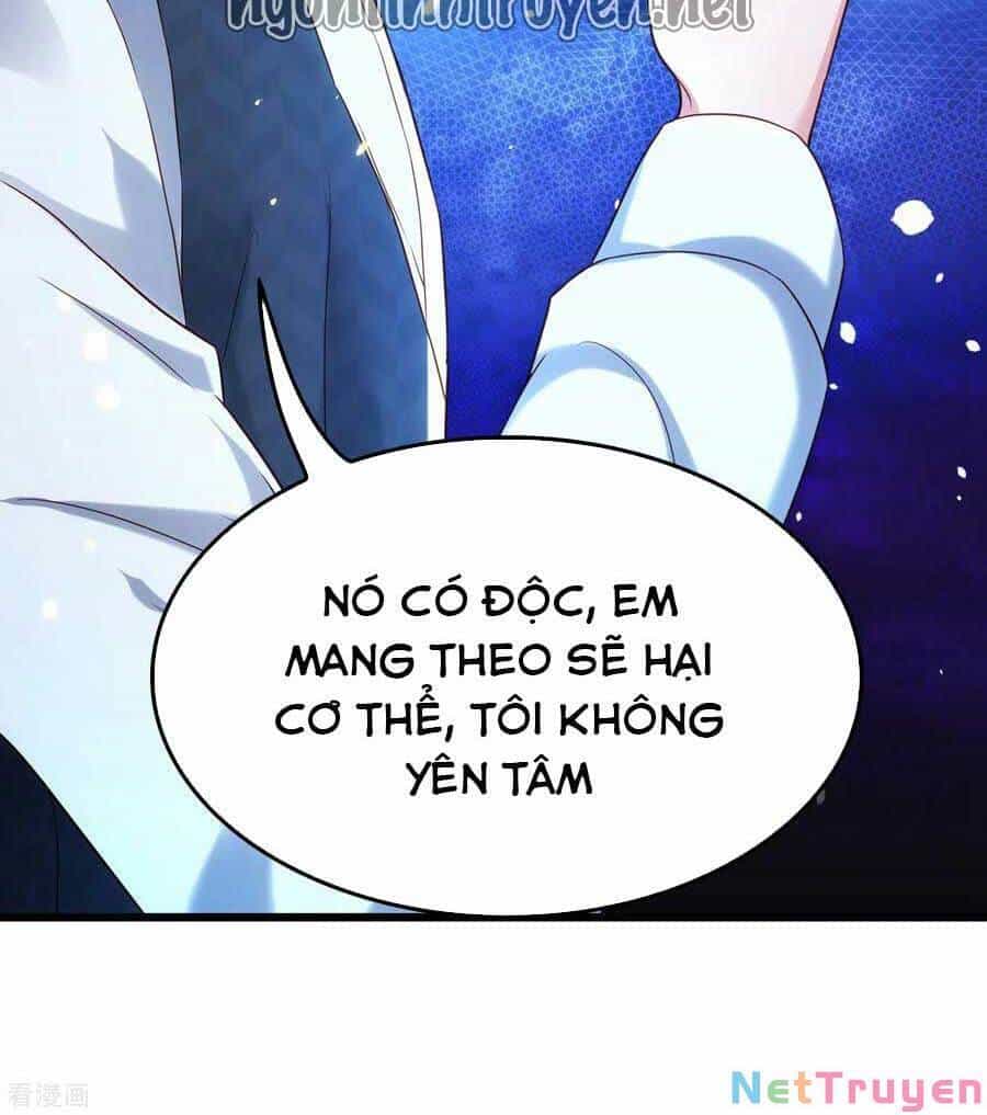 Trùng Sinh Không Gian: Cô Vợ Hào Môn Nóng Bỏng Không Dễ Chọc - Chương 122 - ảnh 11