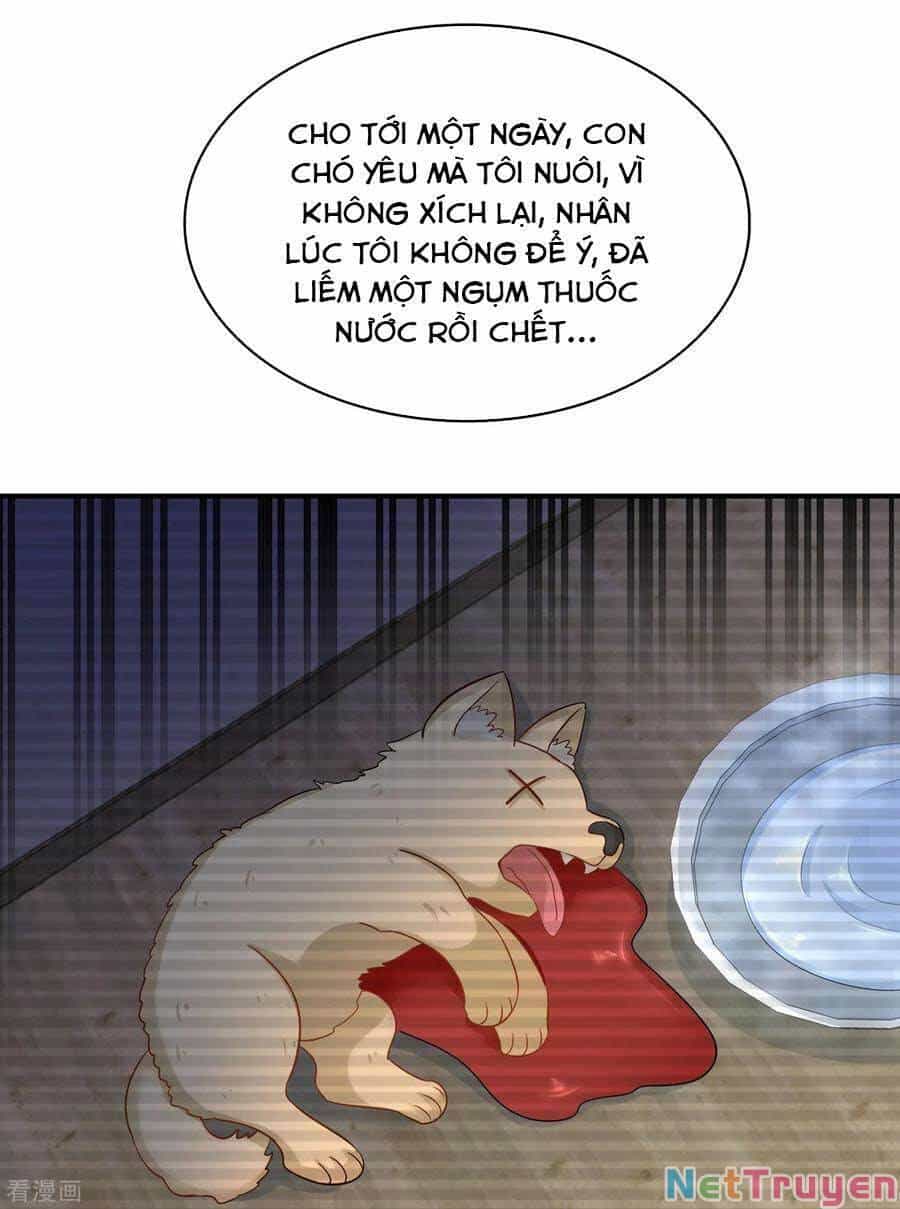 Trùng Sinh Không Gian: Cô Vợ Hào Môn Nóng Bỏng Không Dễ Chọc - Chương 125 - ảnh 23