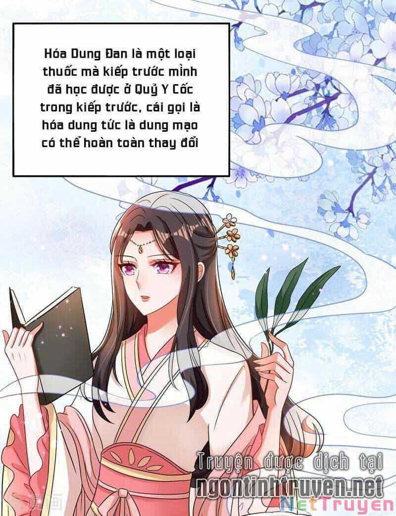 Trùng Sinh Không Gian: Cô Vợ Hào Môn Nóng Bỏng Không Dễ Chọc - Chương 139 - ảnh 8