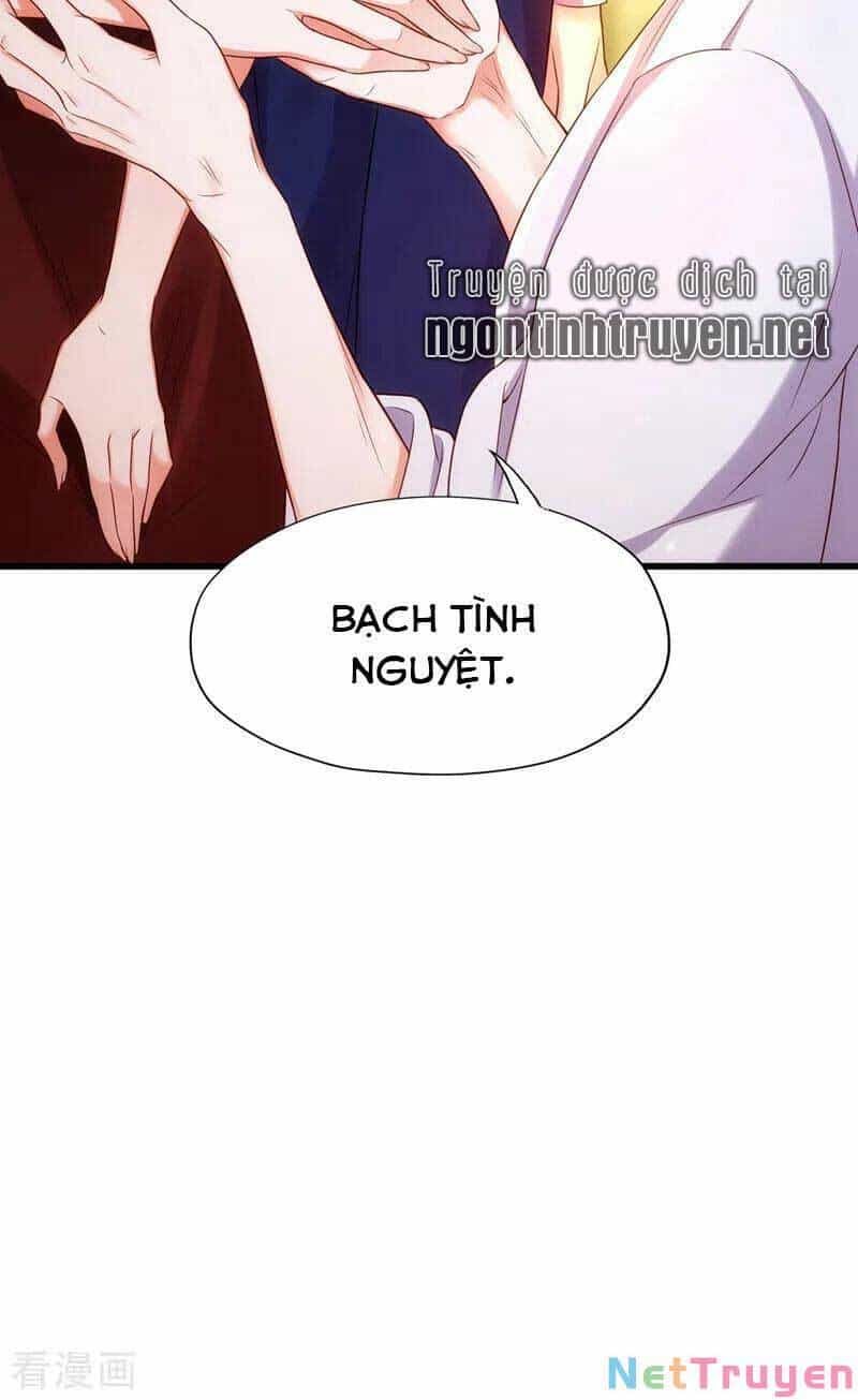 Trùng Sinh Không Gian: Cô Vợ Hào Môn Nóng Bỏng Không Dễ Chọc - Chương 142 - ảnh 14