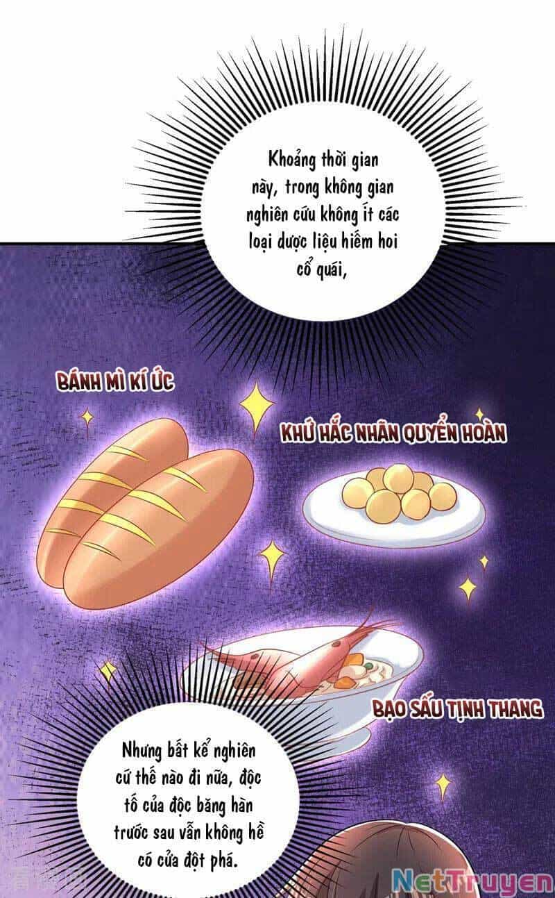 Trùng Sinh Không Gian: Cô Vợ Hào Môn Nóng Bỏng Không Dễ Chọc - Chương 149 - ảnh 13