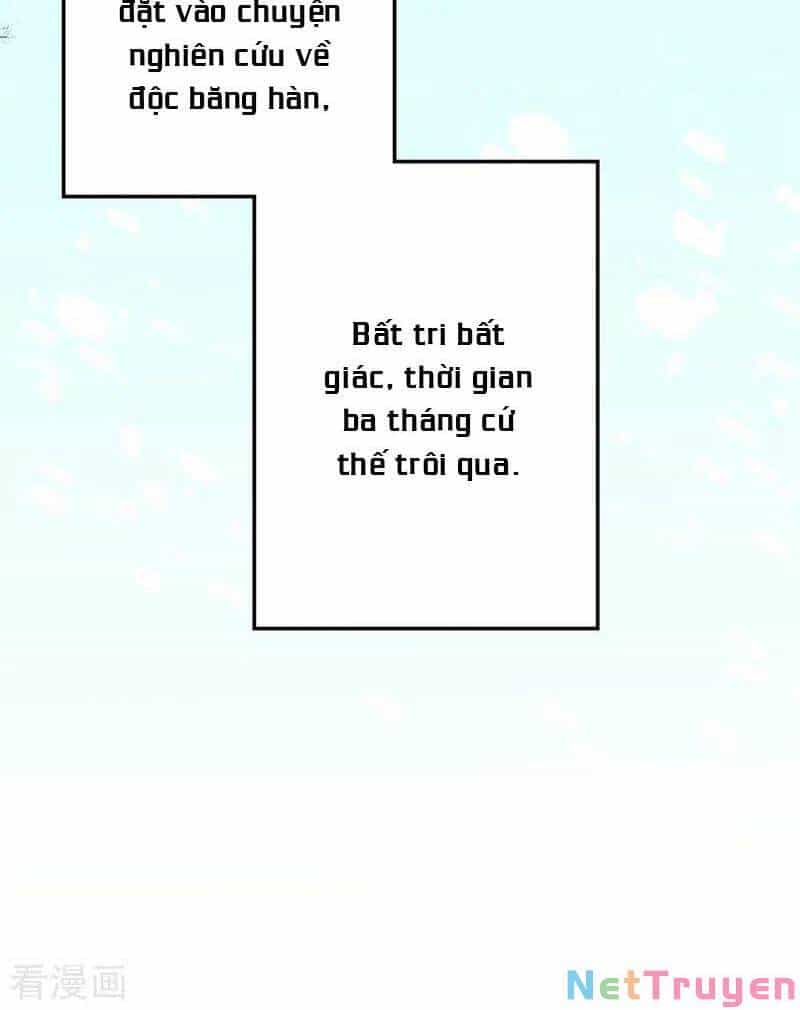 Trùng Sinh Không Gian: Cô Vợ Hào Môn Nóng Bỏng Không Dễ Chọc - Chương 151 - ảnh 29