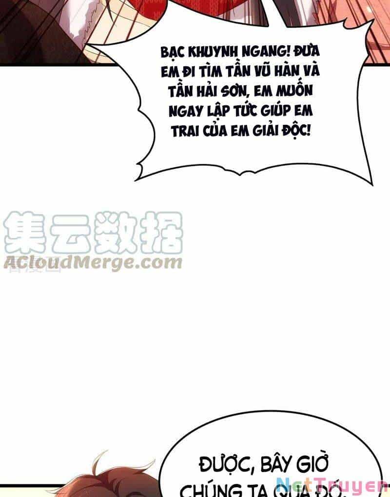 Trùng Sinh Không Gian: Cô Vợ Hào Môn Nóng Bỏng Không Dễ Chọc - Chương 162 - ảnh 16