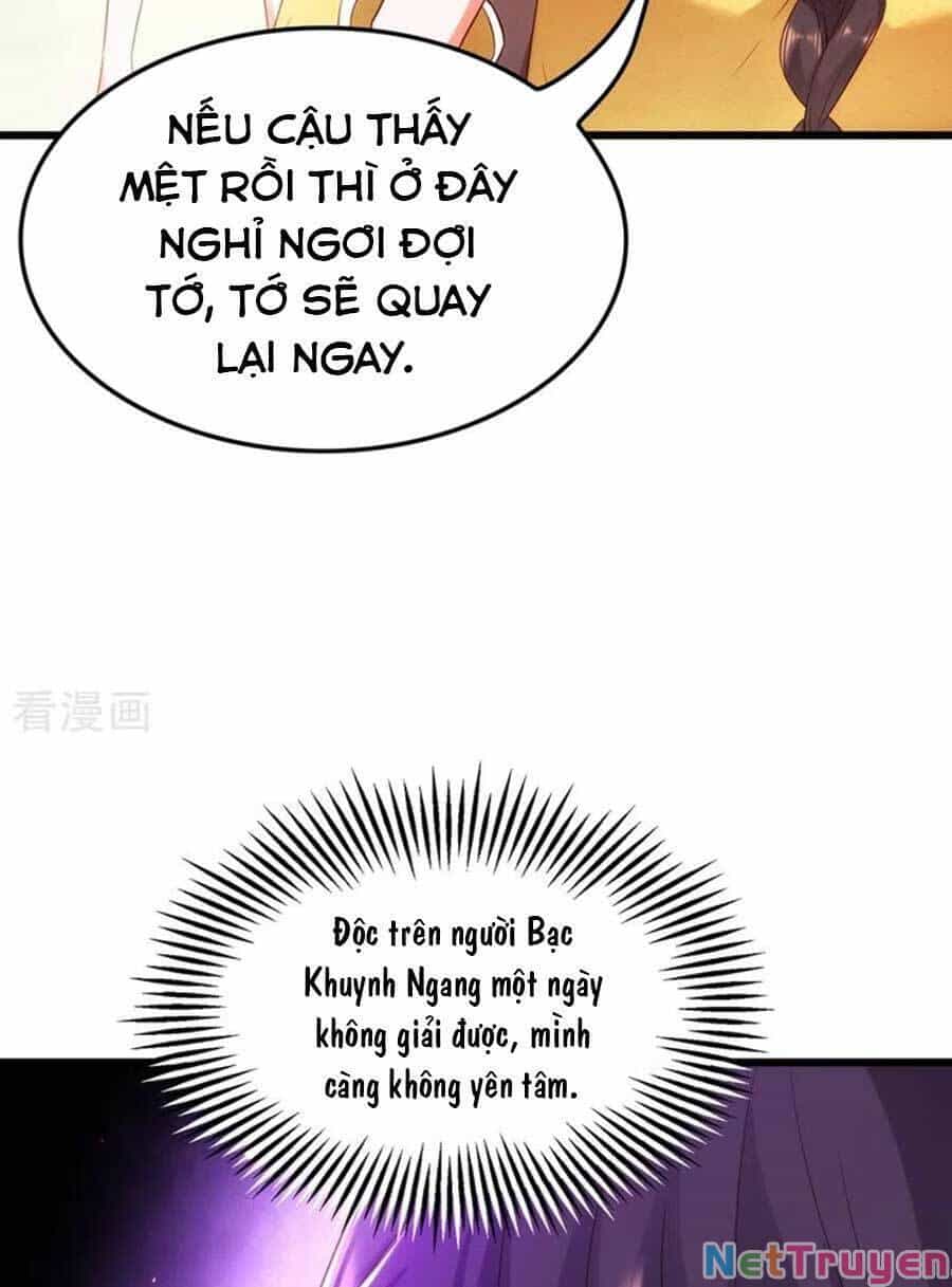 Trùng Sinh Không Gian: Cô Vợ Hào Môn Nóng Bỏng Không Dễ Chọc - Chương 168 - ảnh 22