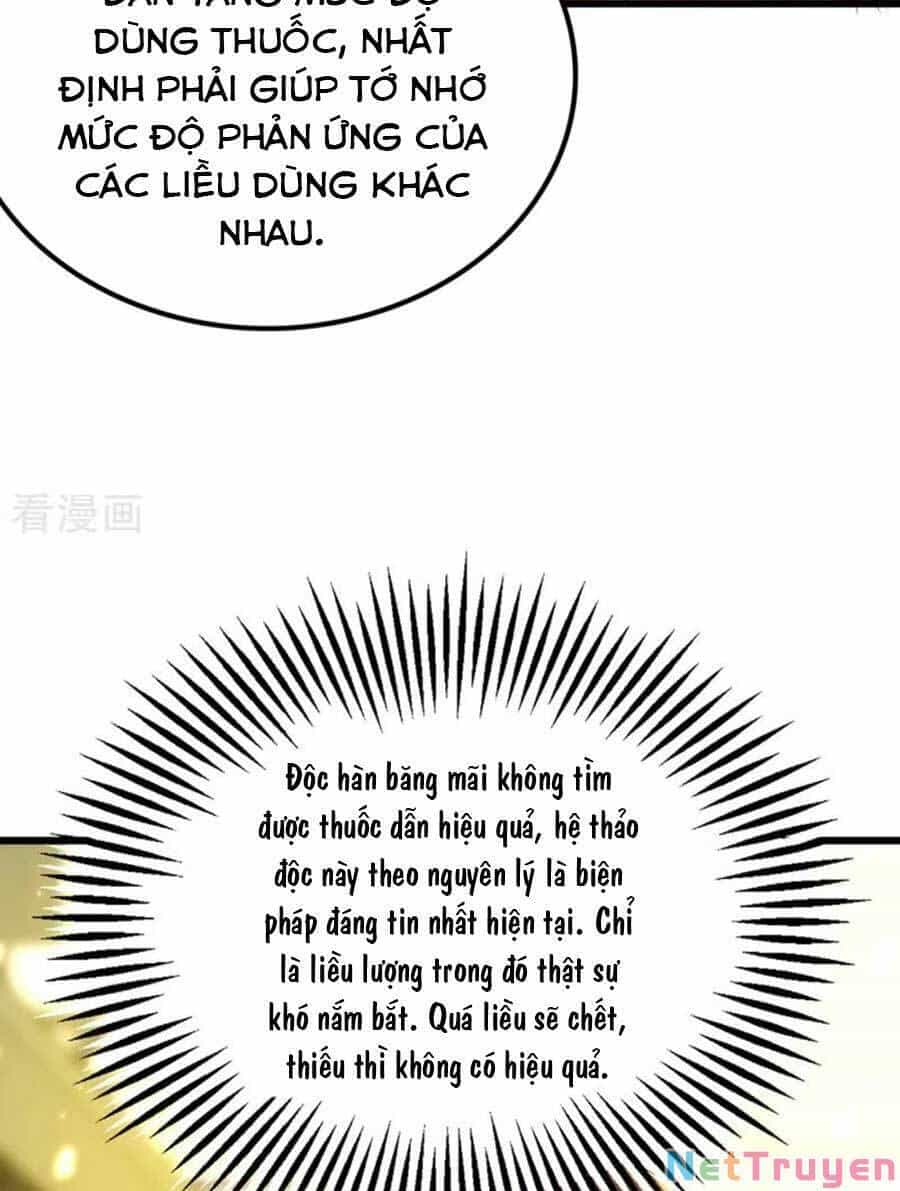 Trùng Sinh Không Gian: Cô Vợ Hào Môn Nóng Bỏng Không Dễ Chọc - Chương 171 - ảnh 17
