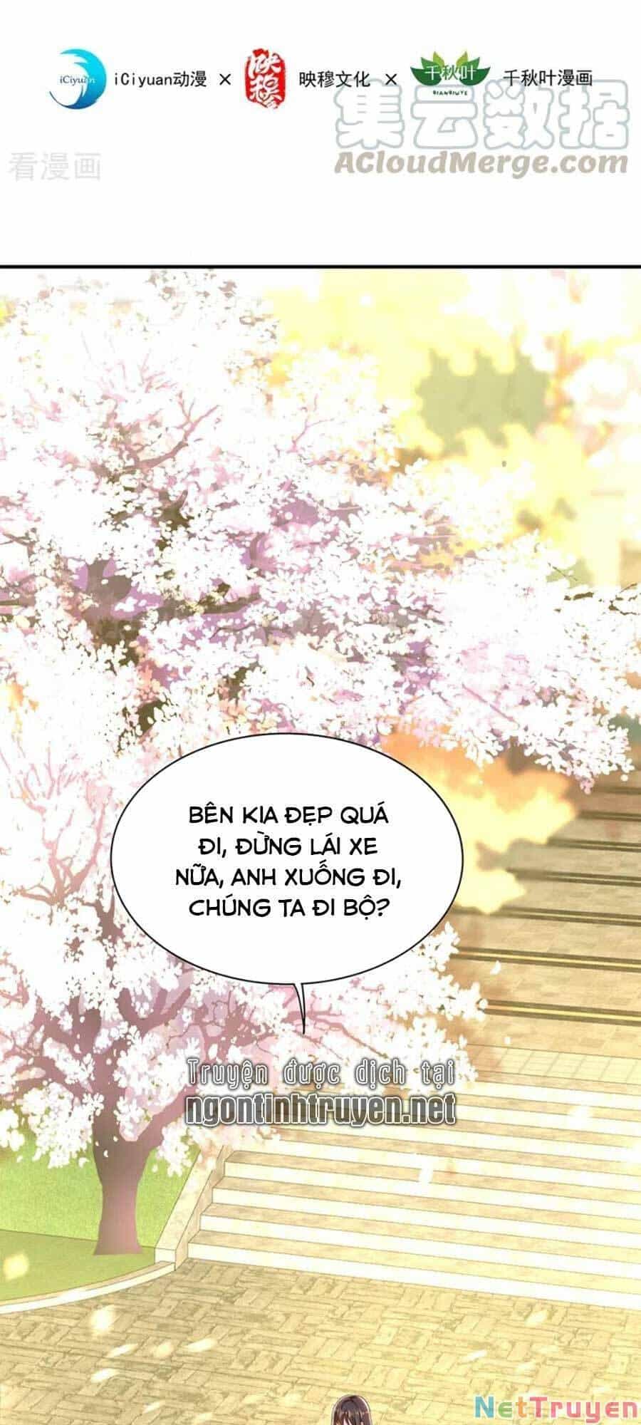 Trùng Sinh Không Gian: Cô Vợ Hào Môn Nóng Bỏng Không Dễ Chọc - Chương 175 - ảnh 2