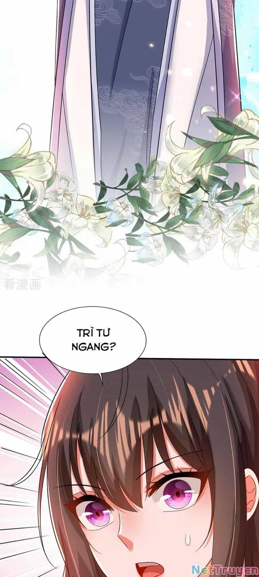 Trùng Sinh Không Gian: Cô Vợ Hào Môn Nóng Bỏng Không Dễ Chọc - Chương 177 - ảnh 23