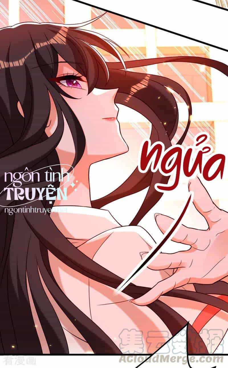 Trùng Sinh Không Gian: Cô Vợ Hào Môn Nóng Bỏng Không Dễ Chọc - Chương 243 - ảnh 17