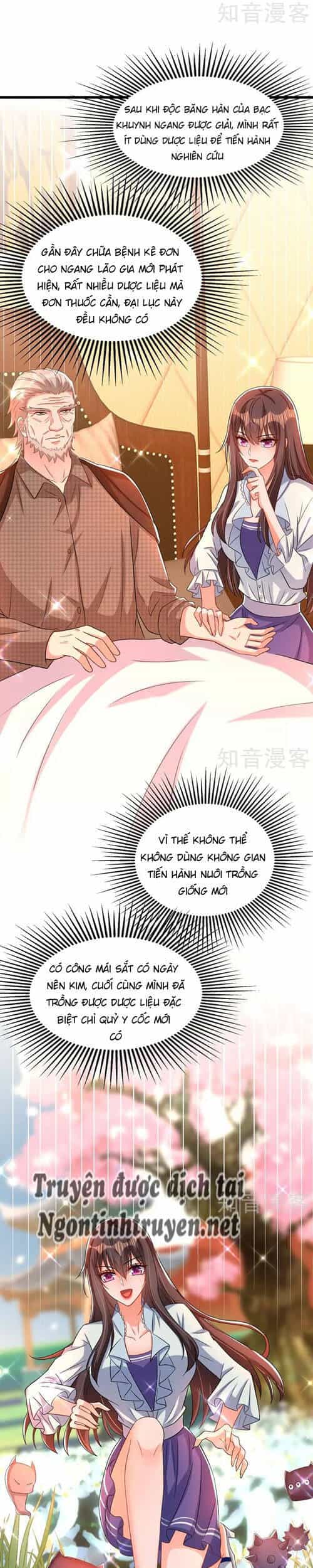 Trùng Sinh Không Gian: Cô Vợ Hào Môn Nóng Bỏng Không Dễ Chọc - Chương 260 - ảnh 11