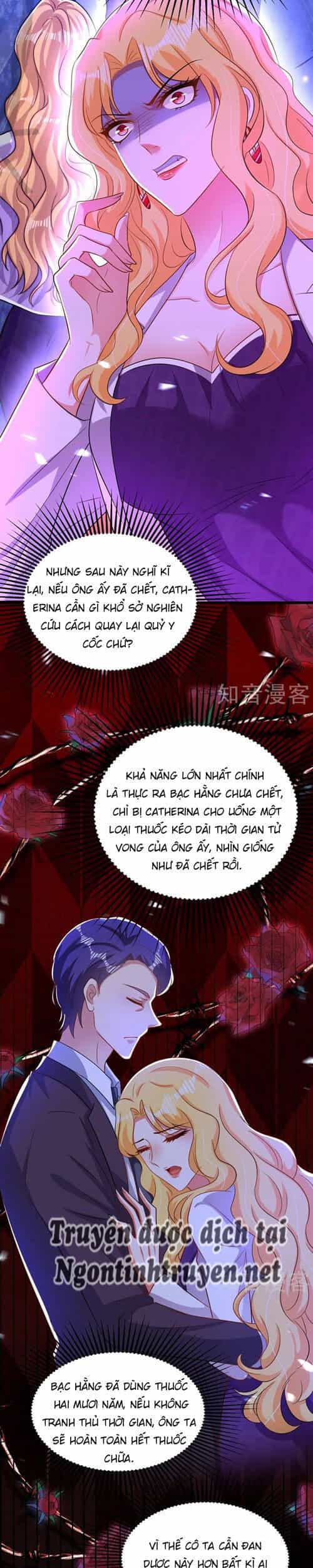 Trùng Sinh Không Gian: Cô Vợ Hào Môn Nóng Bỏng Không Dễ Chọc - Chương 269 - ảnh 21