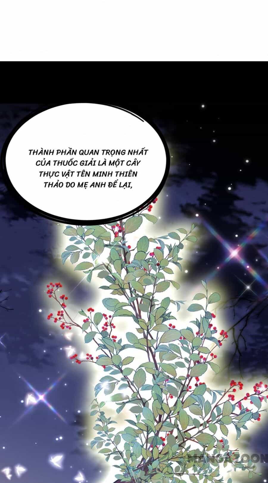Trùng Sinh Không Gian: Cô Vợ Hào Môn Nóng Bỏng Không Dễ Chọc - Chương 374 - ảnh 25