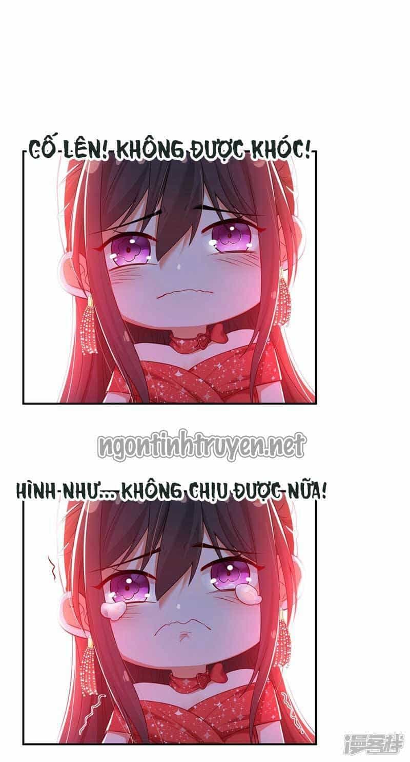 Trùng Sinh Không Gian: Cô Vợ Hào Môn Nóng Bỏng Không Dễ Chọc - Chương 27 - ảnh 2