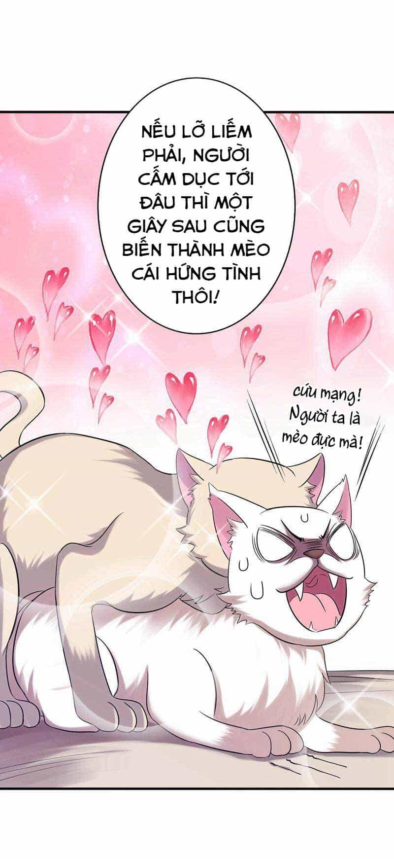 Trùng Sinh Không Gian: Cô Vợ Hào Môn Nóng Bỏng Không Dễ Chọc - Chương 43 - ảnh 8