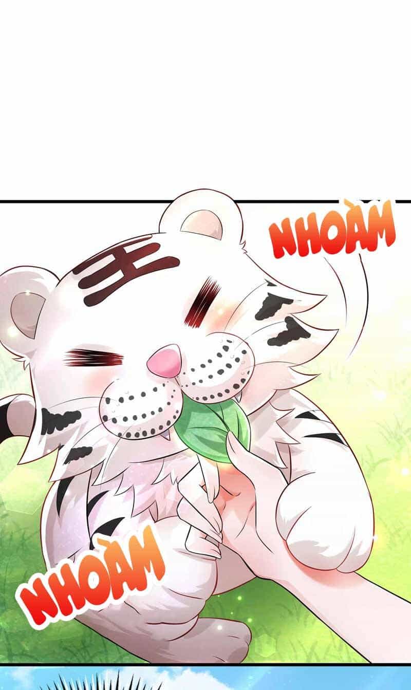 Trùng Sinh Không Gian: Cô Vợ Hào Môn Nóng Bỏng Không Dễ Chọc - Chương 57 - ảnh 21