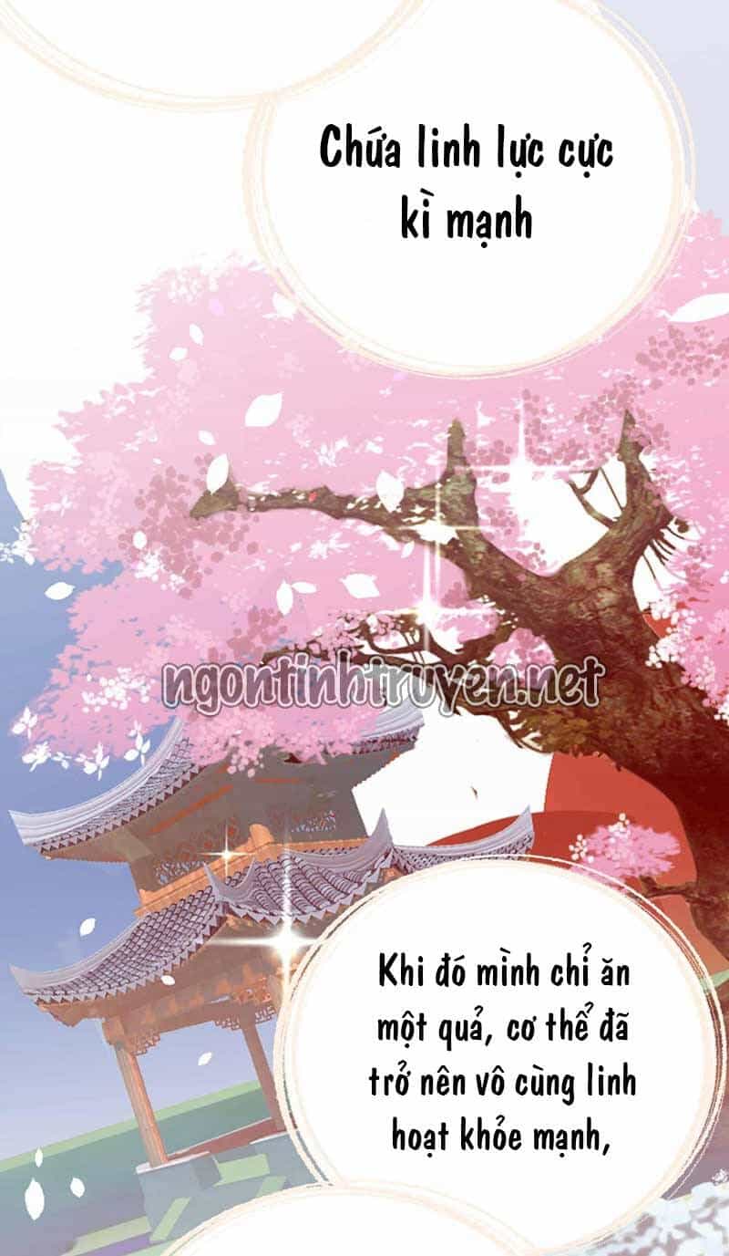 Trùng Sinh Không Gian: Cô Vợ Hào Môn Nóng Bỏng Không Dễ Chọc - Chương 57 - ảnh 26