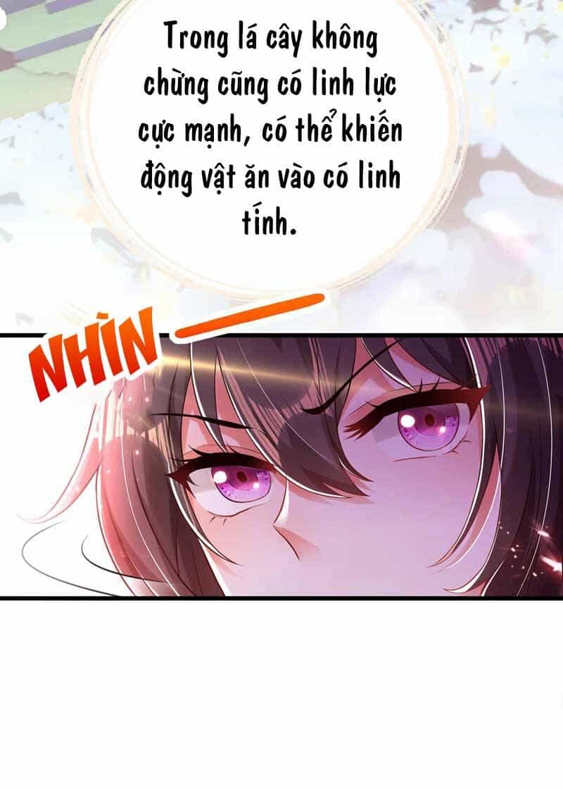 Trùng Sinh Không Gian: Cô Vợ Hào Môn Nóng Bỏng Không Dễ Chọc - Chương 57 - ảnh 27