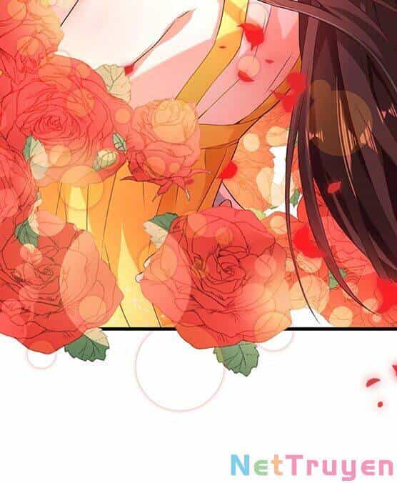 Trùng Sinh Không Gian: Cô Vợ Hào Môn Nóng Bỏng Không Dễ Chọc - Chương 63 - ảnh 21