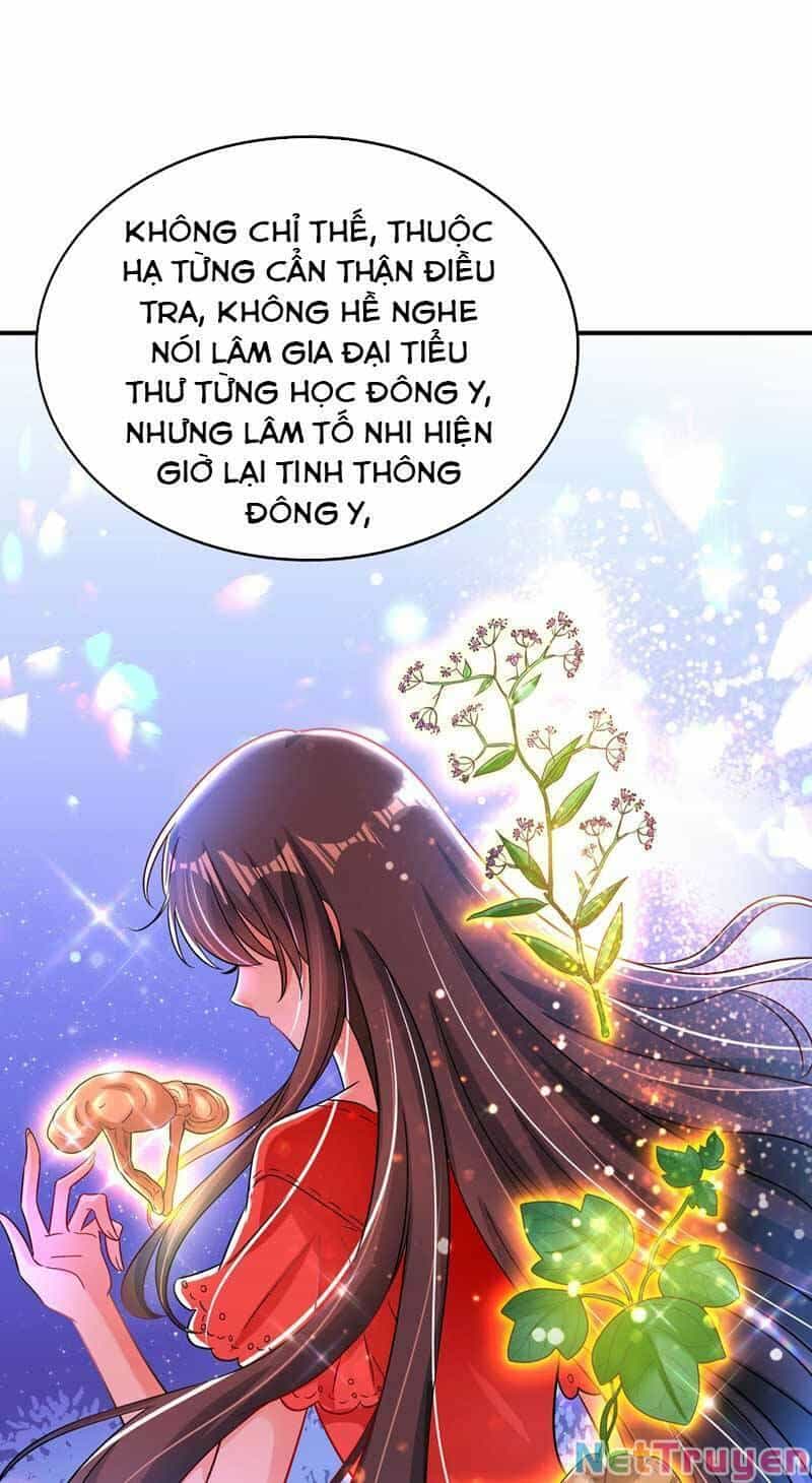 Trùng Sinh Không Gian: Cô Vợ Hào Môn Nóng Bỏng Không Dễ Chọc - Chương 76 - ảnh 42