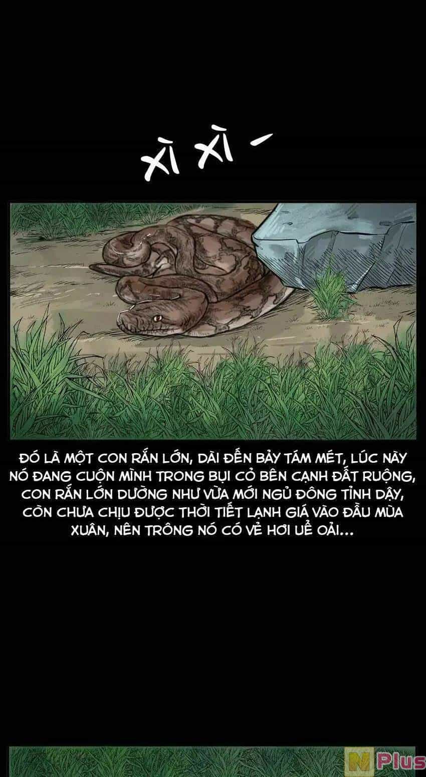 Truyện Kinh Dị Đời Thực - Chương 8 - ảnh 5
