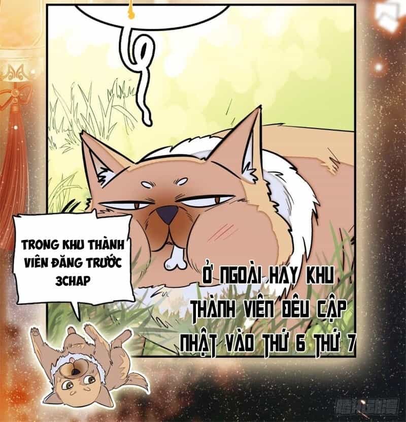Tự Cẩm - Chương 44 - ảnh 49