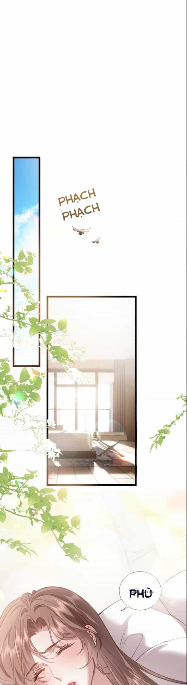 Từ Chối Hiến Thận, Tôi Trở Thành Mợ Út Của Người Yêu Cũ - Chương 3 - ảnh 2