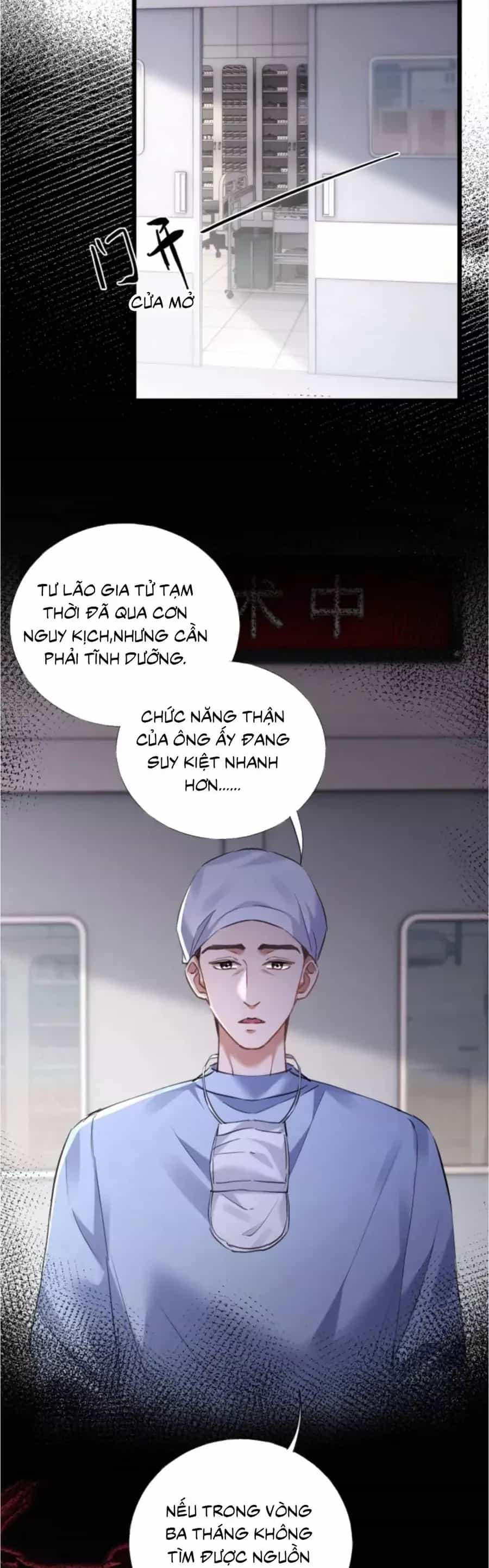 Từ Chối Hiến Thận, Tôi Trở Thành Mợ Út Của Người Yêu Cũ - Chương 42 - ảnh 10