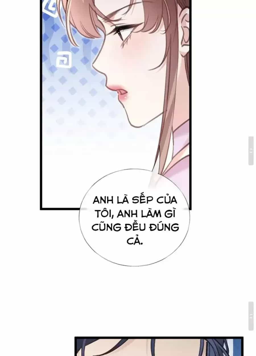 Từ Chối Hiến Thận, Tôi Trở Thành Mợ Út Của Người Yêu Cũ - Chương 44 - ảnh 33