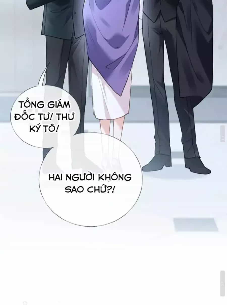 Từ Chối Hiến Thận, Tôi Trở Thành Mợ Út Của Người Yêu Cũ - Chương 45 - ảnh 72