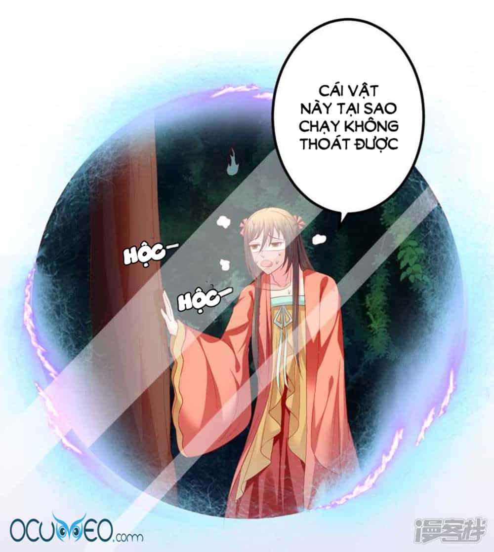 Từ Đây Vương Gia Không Thượng Triều Sớm - Chương 55 - ảnh 6