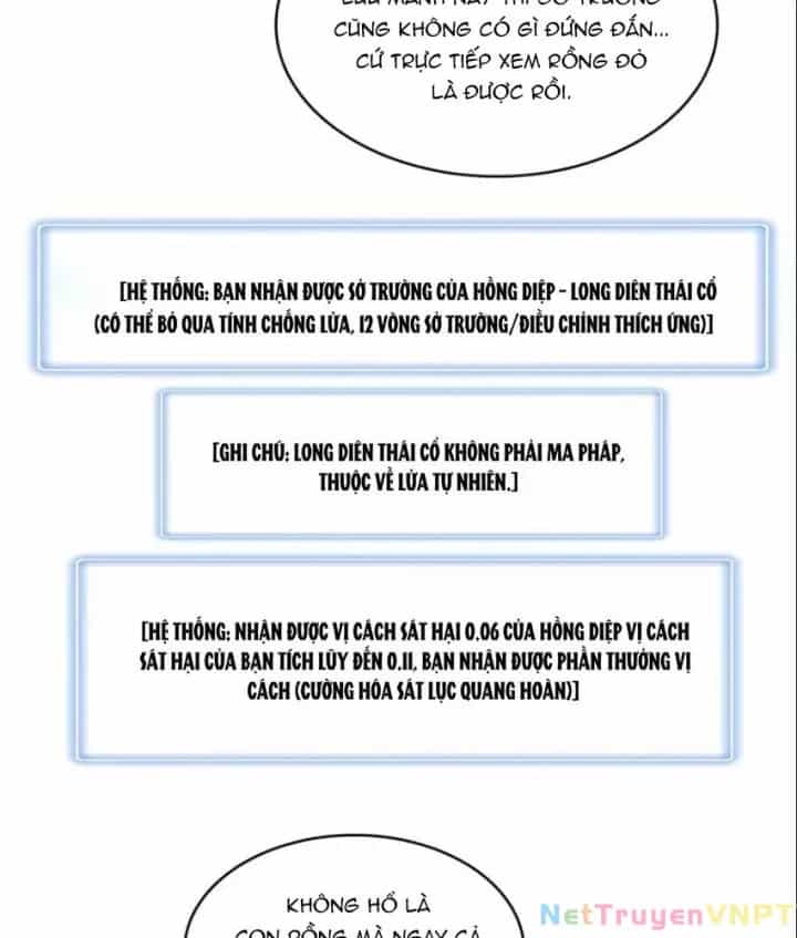 Từ Giờ, Ta Chính Là Bậc Thầy Của Pháp Sư - Chương 112 - ảnh 17