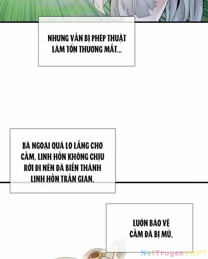 Từ Giờ, Ta Chính Là Bậc Thầy Của Pháp Sư - Chương 60 - ảnh 24