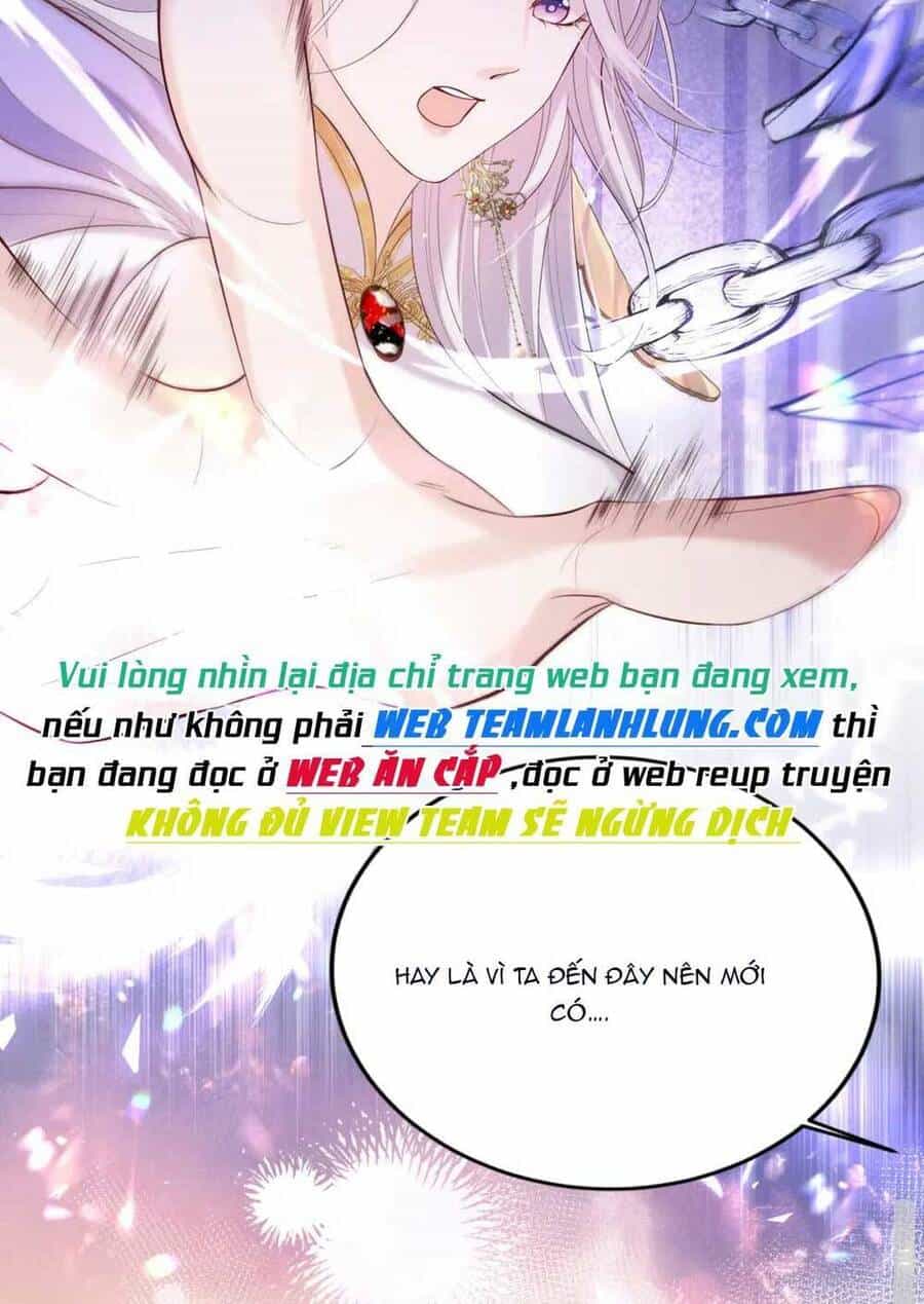 Tu Tiên Công Lược : Mở Đầu Ta Ngược Đãi Nam Chủ - Chương 8 - ảnh 11
