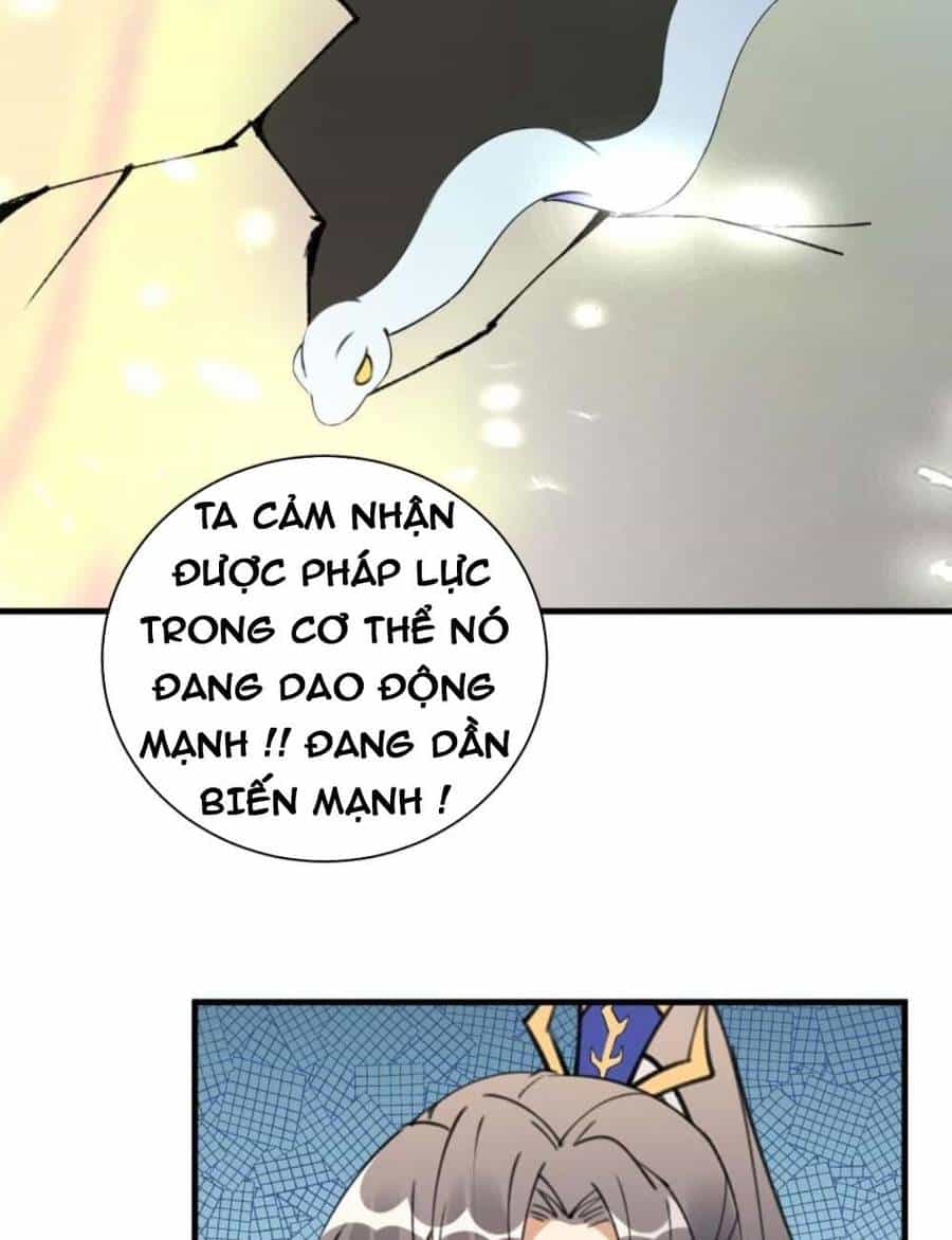 Tu Tiên Phải Dựa Vào Sugar Mommy - Chương 179 - ảnh 18