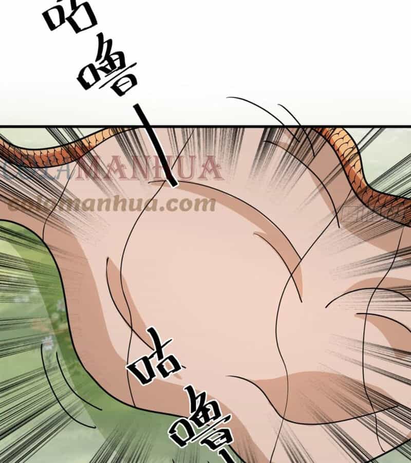 Tu Tiên Phải Dựa Vào Sugar Mommy - Chương 212 - ảnh 8