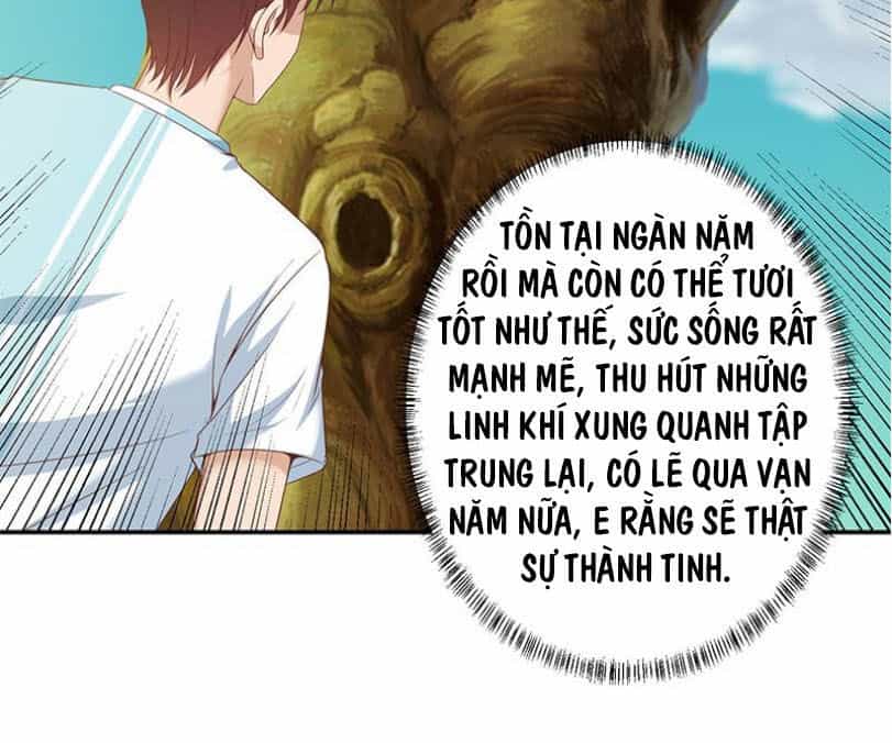 Tu Tiên Trở Về Tại Vườn Trường - Chương 11 - ảnh 5