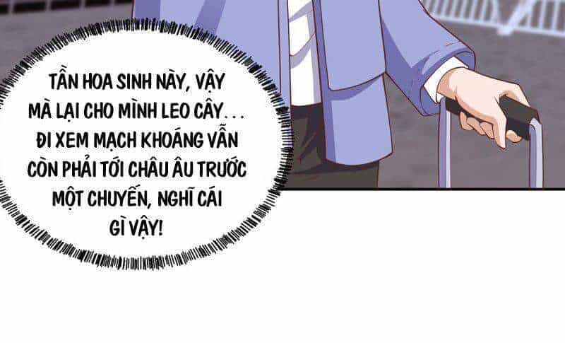 Tu Tiên Trở Về Tại Vườn Trường - Chương 247 - ảnh 10