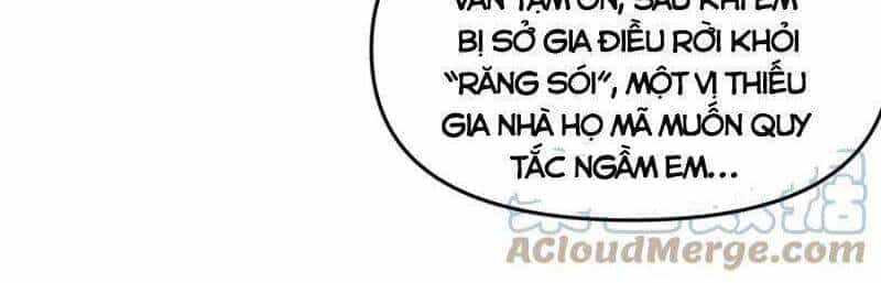 Tu Tiên Trở Về Tại Vườn Trường - Chương 278 - ảnh 5