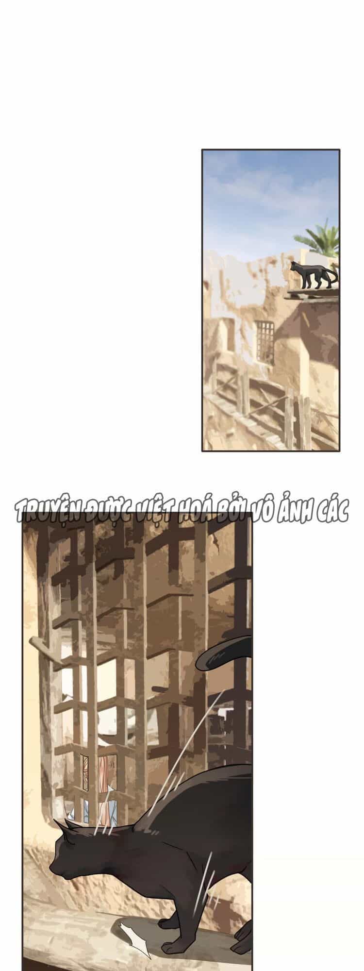 Túc Dạ Trường Ca - Chương 14 - ảnh 21