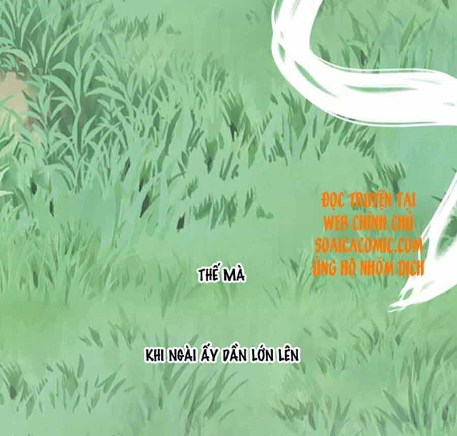 Tướng Quân, Bổn Phi Không Nhận Sủng - Chương 14 - ảnh 15