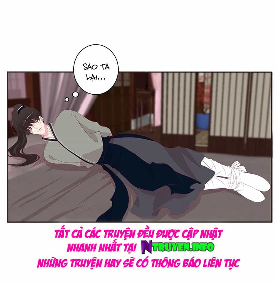 Tướng Quân Xin Xuất Chinh - Chương 172 - ảnh 16