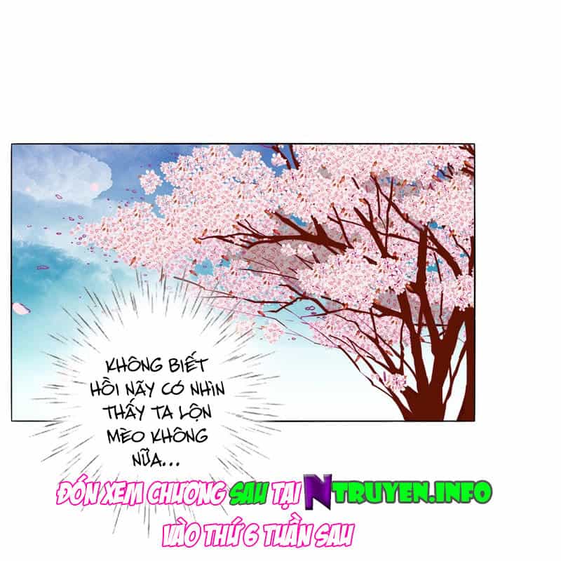 Tướng Quân Xin Xuất Chinh - Chương 32 - ảnh 28