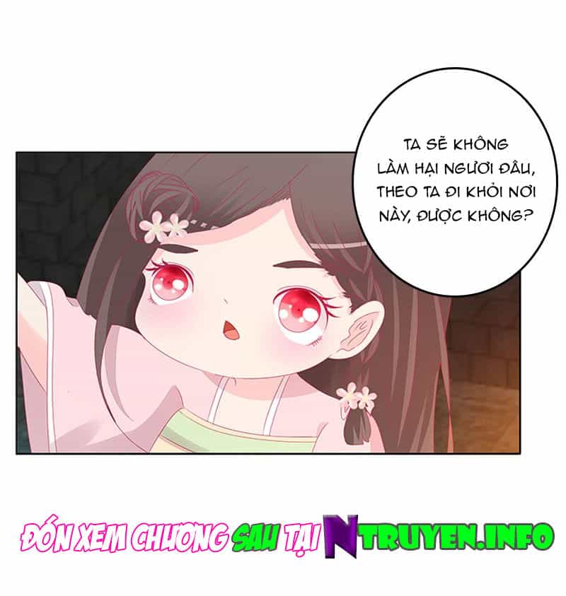 Tướng Quân Xin Xuất Chinh - Chương 77 - ảnh 26