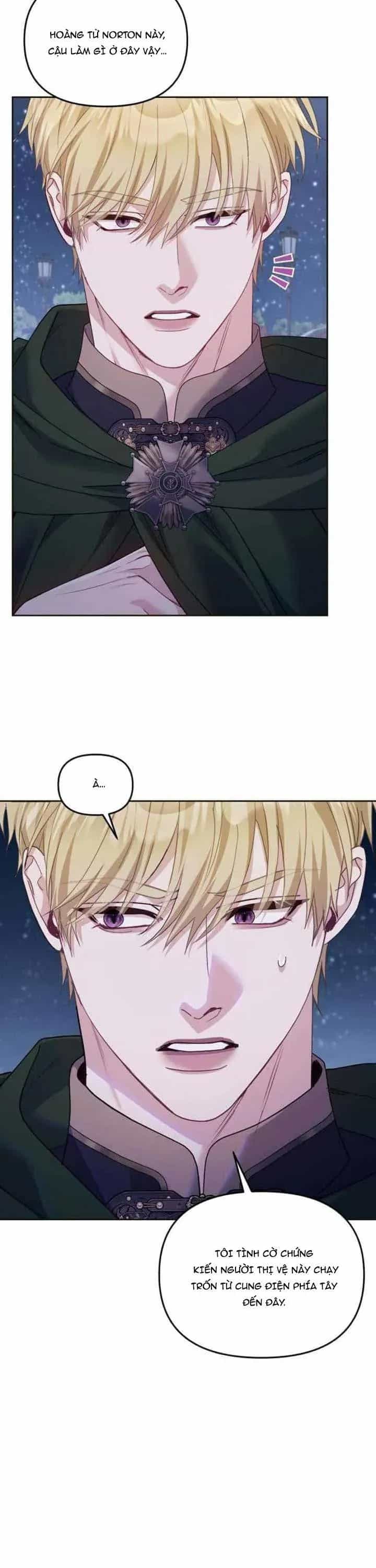 Tuy Là Hoàng Hậu Thay Thế Nhưng Tôi Lại Đánh Mất Đêm Đầu Tiên - Chương 36 - ảnh 11