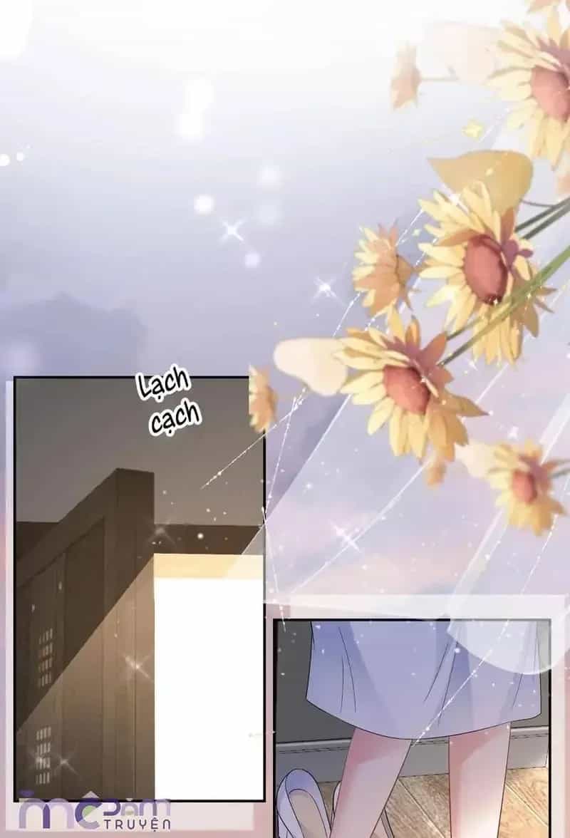 Tùy Ý Thiêu Đốt Lửa Tình - Chương 95.1 - ảnh 6