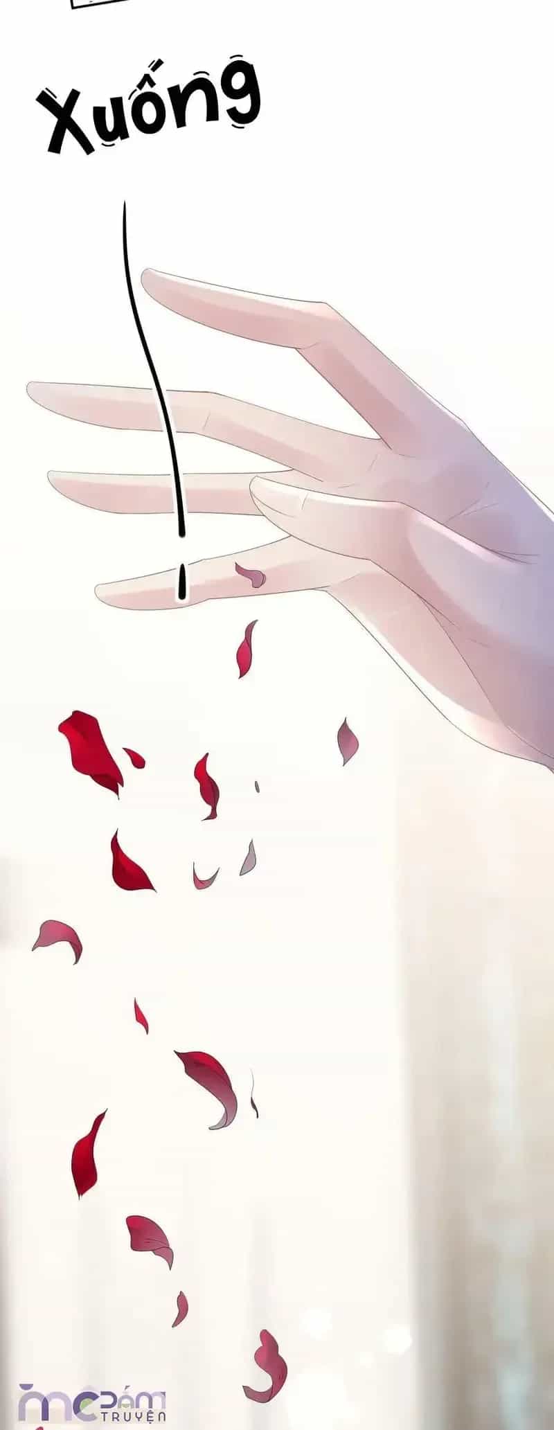 Tùy Ý Thiêu Đốt Lửa Tình - Chương 62 - ảnh 5
