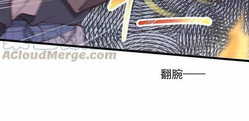 Tuyệt Phẩm Y Thánh - Chương 228 - ảnh 11