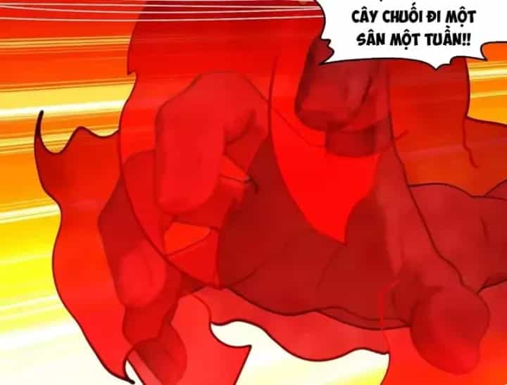 Tuyệt Sắc Đạo Lữ Đều Nói Ngô Hoàng Thể Chất Vô Địch - Chương 455 - ảnh 12