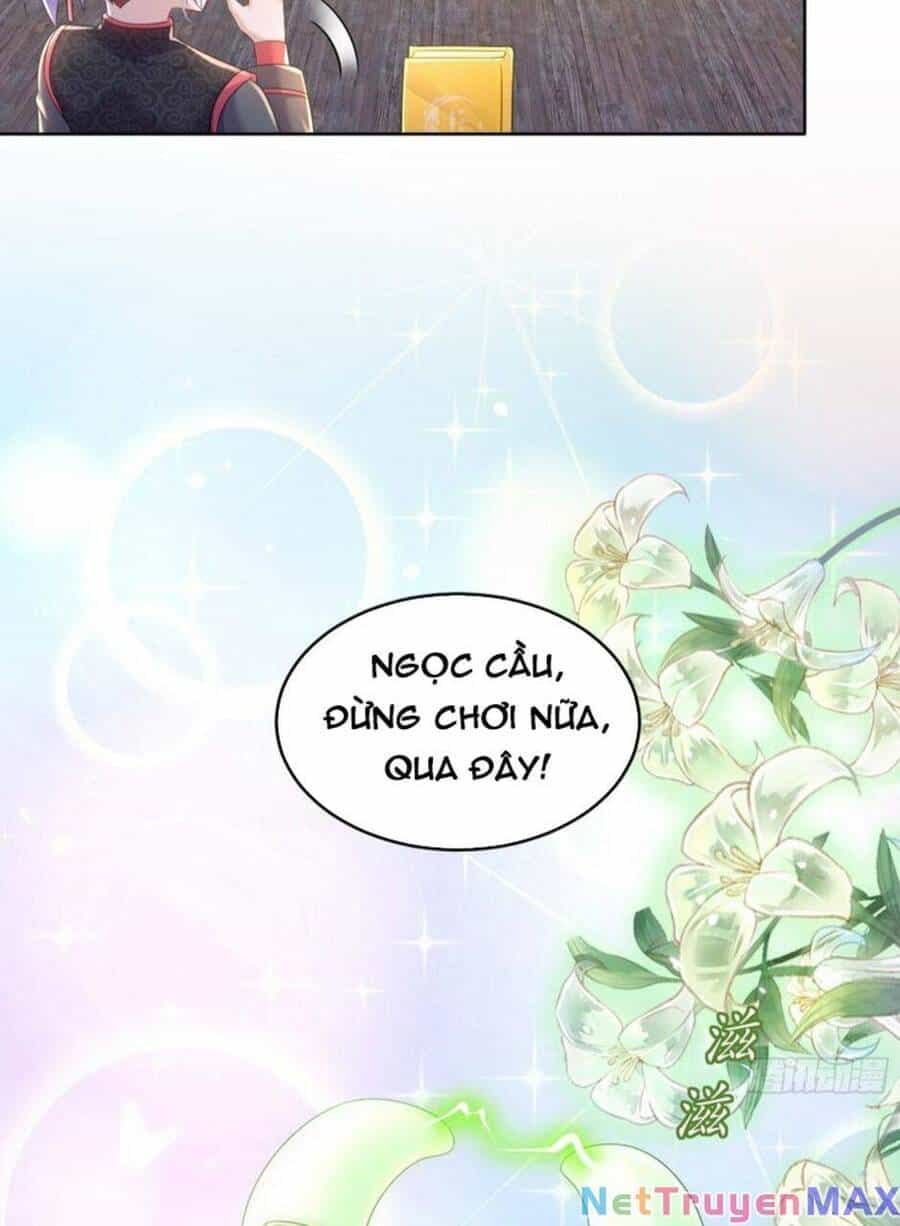 Tuyệt Sắc Đạo Lữ Đều Nói Ngô Hoàng Thể Chất Vô Địch - Chương 54 - ảnh 7